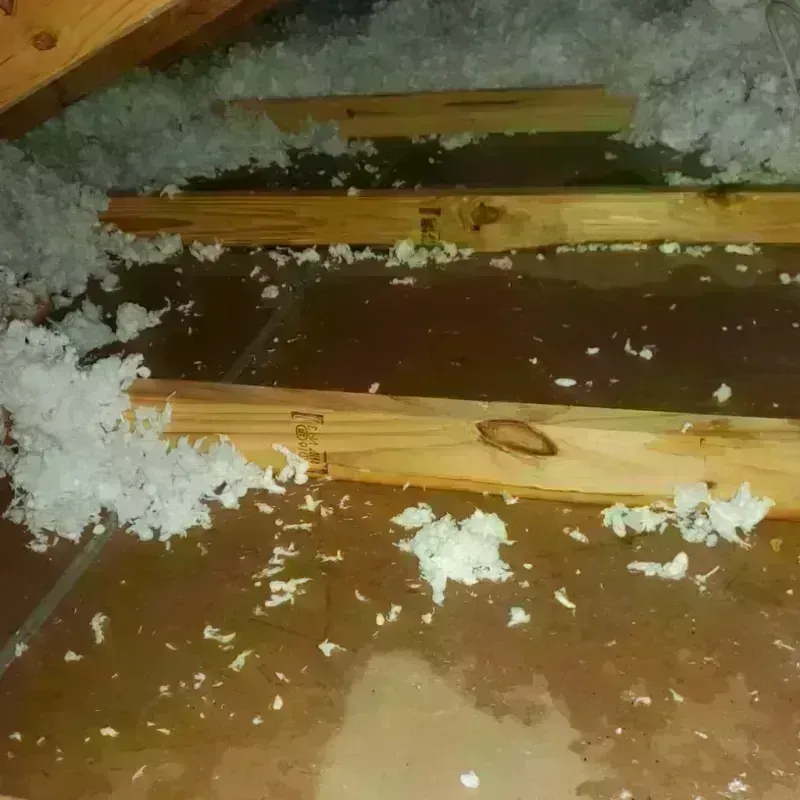 Attic Water Damage in Collinsville, MS